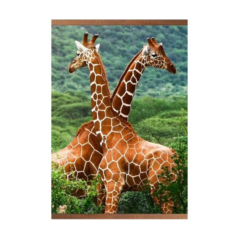 Пленочный обогреватель домашний очаг жирафы